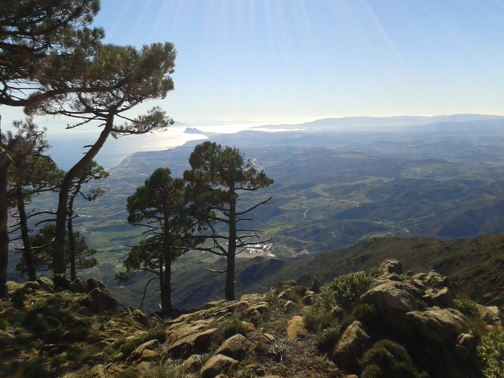 los reales de Sierra Bermeja